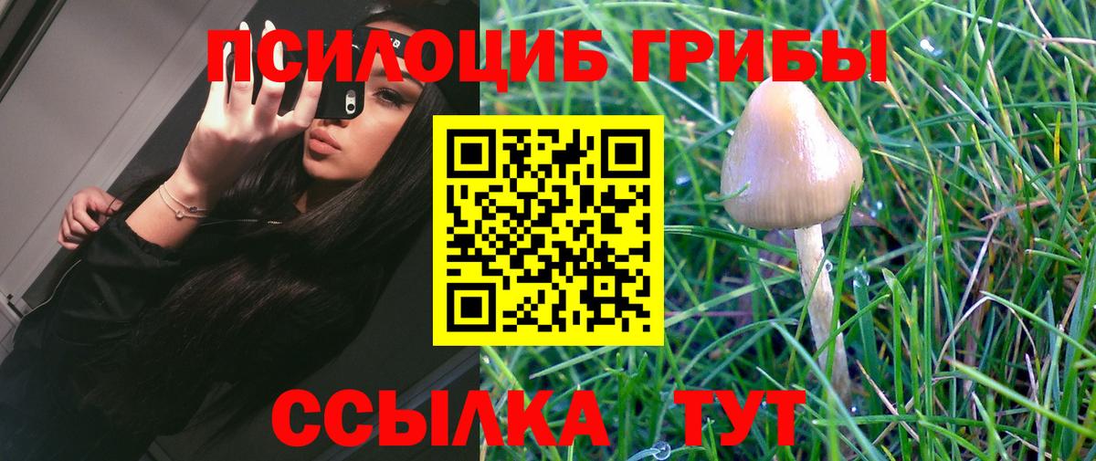 Галлюциногенные грибы мухоморы Клинцы