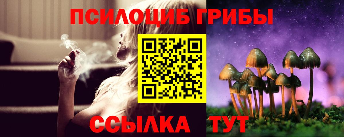 как найти закладки  Вход с VPN  Галлюциногенные грибы мухоморы  Клинцы  Псилоцибиновые грибы прущие грибы 